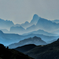 Rose Los Angeles Employee Kevin Weeks's profile photo