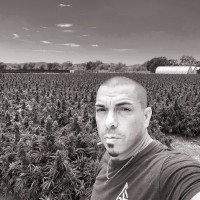 Golden Protective Services Employee Chris Potter's profile photo