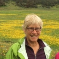 Karen Olson Email & Phone Number