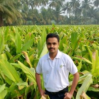 AVT Natural Products Employee Gireesh E's profile photo