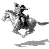 Yankee Restoration Employee Yankee Restoration's profile photo