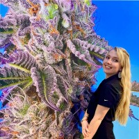 Lily Braden Email & Phone Number