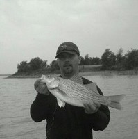 David Pruitt Email & Phone Number