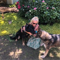 Sun Realty | Outer Banks Vacation Rentals Employee Jessica Gates's profile photo