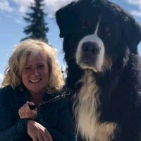 Susan Vaillant Email & Phone Number