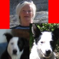 Panasas Employee Laurie Hill's profile photo