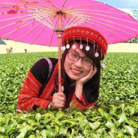 DTT Groups Employee Bình Nguyễn's profile photo
