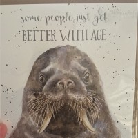 Tytec Employee Brian McMillan's profile photo