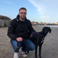 Great Ape Games Employee Ciaran Dempsey's profile photo