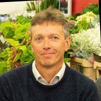 David Bek Email & Phone Number