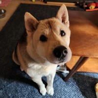 Michael Rose Email & Phone Number