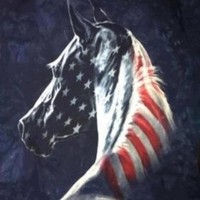 MT Solar Employee Jennifer Stanley's profile photo