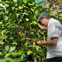 Javier Sanchez Email & Phone Number