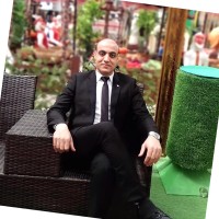 Ashraf Mofied Email