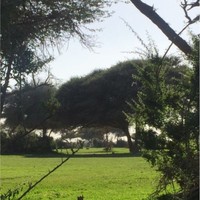 GIG Saudi Employee Waleed Alsanad's profile photo