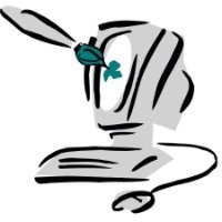 Ronney Braunstein's profile photo