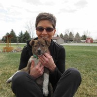 National Information Systems Employee Lynne Cebuhar's profile photo