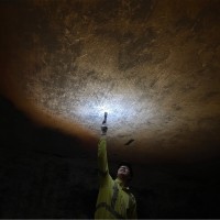 The Mosaic Company Employee Ashton Hamilton's profile photo