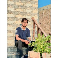 Muhammad Hassnain Email