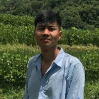 Treeleaf Technologies Employee Anil Bal's profile photo