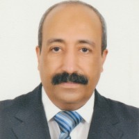 Wael Wasel Email