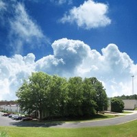 RaRa Telecom Supply Employee None's profile photo