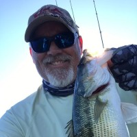 Daniel Minnick Email & Phone Number