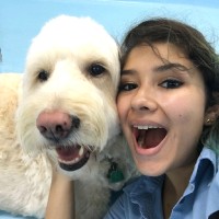 Biscuits & Bath Employee Brianna Rivera's profile photo