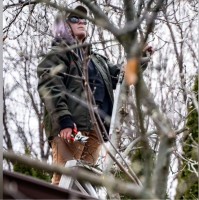 La Rosa Landscape Company, Inc. Employee Shannon Spitzer's profile photo