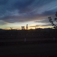 Gold Leaf Farming Employee Jerry Griffin's profile photo