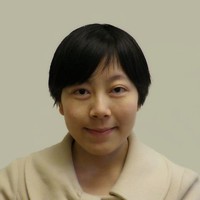 Wenting Wang Email & Phone Number