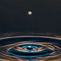 Hyundai Capital Australia Employee Sion Jones's profile photo
