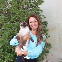 Sara Smith Email