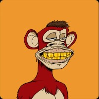 PrinterDAO Employee Danny Kass's profile photo