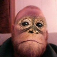Dirlango Employee Alli Gator's profile photo