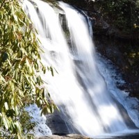 ReTrans, Inc. Employee Rodney Byard's profile photo