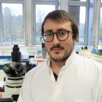 Regulatory Toxicology Employee Valentin Tallandier's profile photo
