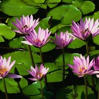 Post Falls School District 273 Employee Savanna Routh's profile photo