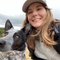 YouGov Employee Rebecca Phillips's profile photo