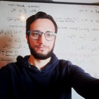 Davide Grimaldi Email