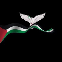 Nest Investments (Holdings) Ltd Employee Ghazi Abunahl's profile photo