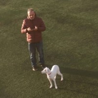 Marketin Employee Vassilios Moulakakis's profile photo