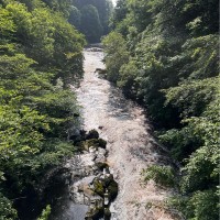 Leonardo Employee Peter Dillon's profile photo