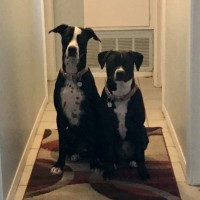 Mohave Community College Employee Jennine Ramirez's profile photo