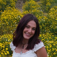 Jessica Buell Email
