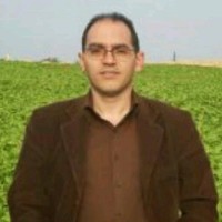 Ice Tech Employee Haytham Shamaa's profile photo
