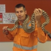 InterDynamics Pty Ltd Employee Tony Riches's profile photo