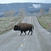 Franklin County, NC Employee Brian Munro's profile photo