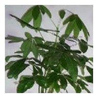 Vancl.com Employee Xuejun Zhang's profile photo