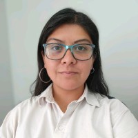 PuntoSolar Employee Viviana Colina's profile photo